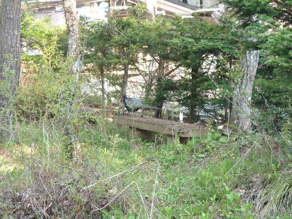 Hida Gasshoen Takayama (Gifu) Exterior foto
